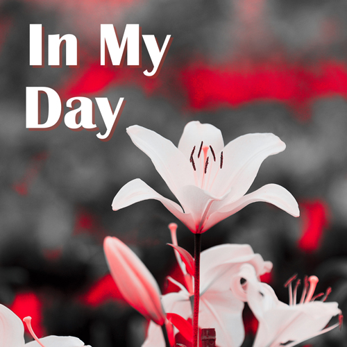 in-my-day-home-page-72dpi