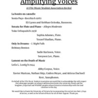 2024-11-05-Amplifying-Voices.pdf