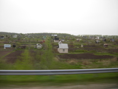 Ukrainian farms