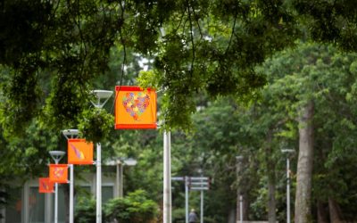 UVic retires 215+ memorial banners, raises Survivor Flag