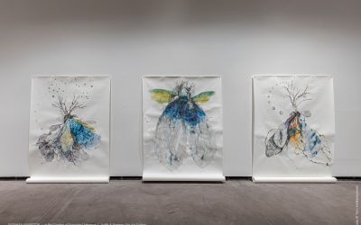 Inaugural JRSP Artist-Scholar Residency announced
