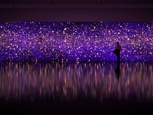 One-day art action supports Indigenous sovereignty