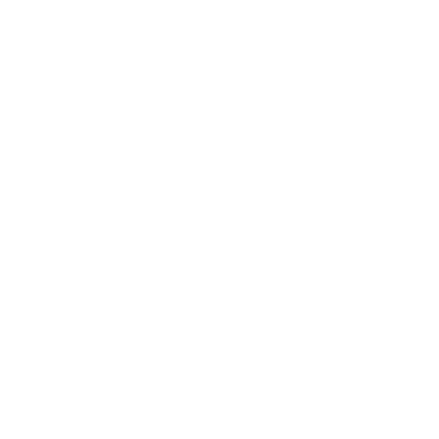 Chair Logo White